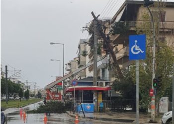 Πτώση δέντρου σε κεντρικό δρόμο της Ν. Σμύρνης (ΦΩΤΟ)