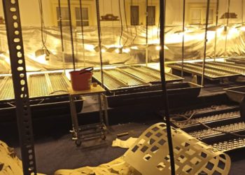 “Λουκέτο” σε τρία εργαστήρια υδροπονικής κάνναβης – ΒΙΝΤΕΟ και ΦΩΤΟ