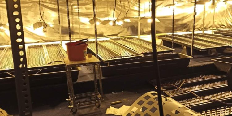 “Λουκέτο” σε τρία εργαστήρια υδροπονικής κάνναβης – ΒΙΝΤΕΟ και ΦΩΤΟ