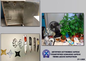 “Φάμπρικα” η καλλιέργεια υδροπονικής κάνναβης