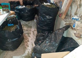 Σπείρα εμπόρων χασίς εξαρθρώθηκε στην Σπάρτη