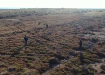 Εκπαίδευση της Kaja του Αστυνομικού Σκύλου περιπολίας του Τμήματος Συνοριακής Φύλαξης Φερών