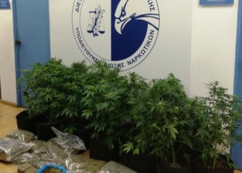 Έκαναν το διαμέρισμά τους θερμοκήπιο για χασίς – ΒΙΝΤΕΟ