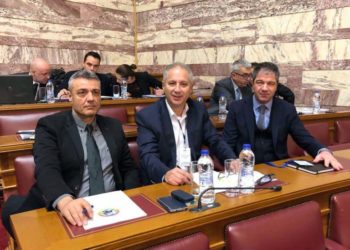 Η ΕΑΠΣ στη Βουλή των Ελλήνων
