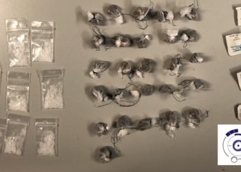 Δεν έχουν τέλος οι πιάτσες ναρκωτικών γύρω από την ΑΣΟΕΕ – Νέες συλλήψεις