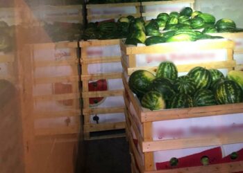 Μετέφεραν μετανάστες στην Ευρώπη σε νταλίκες με καρπούζια! – ΒΙΝΤΕΟ