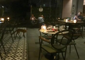 Αλεπού εμφανίστηκε σε καφετέρια της Αγίας Παρασκευής!