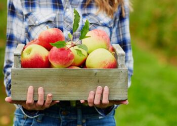 Οι κλέφτες με τα φρούτα – Μια σπείρα που εξαπατούσε ηλικιωμένους στα βόρεια προάστια