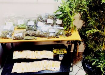 Παρασκεύαζαν χασισέλαιο για “φάρμακο” – Πιάστηκε οικογένεια στη Χαλκίδα