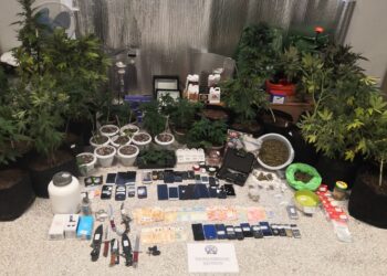 Σπείρα διακίνησης ναρκωτικών εξαρθρώθηκε στα Μέγαρα