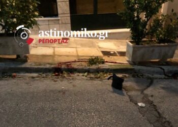 Δολοφονία στην Ηλιούπολη – Υποψίες για “ξεκαθάρισμα” στη νύχτα- ΦΩΤΟ