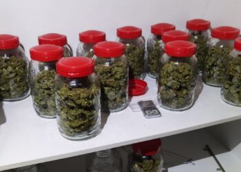 Ο “βοσκός” ο “ψαράς” ο “βουτηχτής και το χασίς της Καρπάθου – Οι κωδικές συνομιλίες