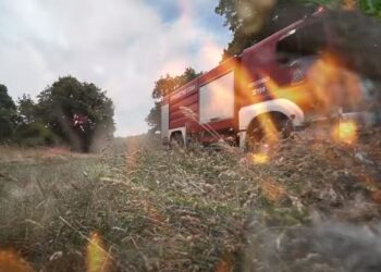 Βίντεο της Πυροσβεστικής για την προστασία των δασών από πυρκαγιές