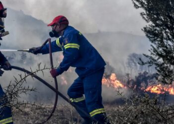 Εκκένωση στα Βίλια εισηγήθηκε η Πυροσβεστική – Προς τον οικισμό οι φλόγες