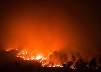 Βίντεο από τις ολονύχτιες προσπάθειες εθελοντών στην πυρκαγιά στα Βίλια