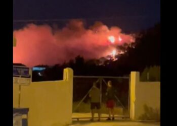 Πυρκαγιά κοντά σε οικισμό στη Νέα Μάκρη – Εκκένωση της περιοχής – Βίντεο