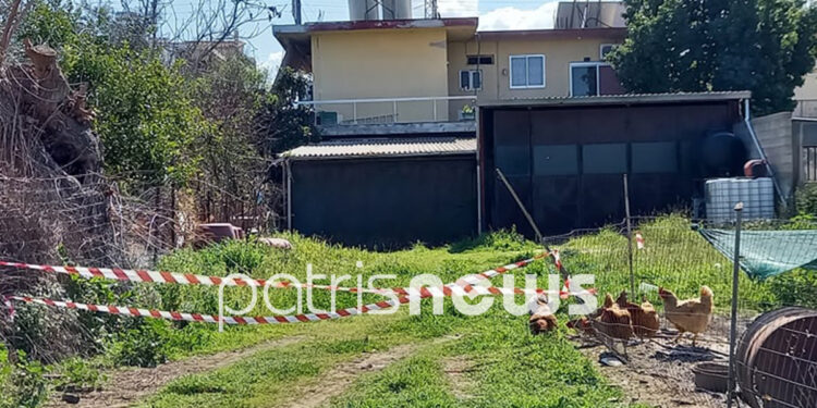 Σοκ από το μακελειό στην Ανδραβίδα – Τι ψάχνει η ΕΛΑΣ