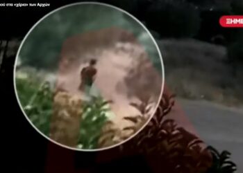 Στόχος εμπρηστών το Αττικό Ζωολογικό Πάρκο; – Τι ερευνά η ΕΛΑΣ