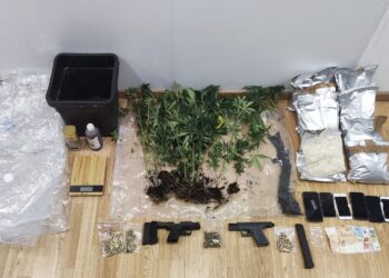 Τούρκικη χασισοφυτεία στο Πόρτο Ράφτη – Τέσσερις συλλήψεις