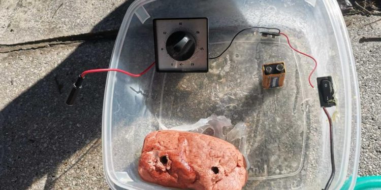 Απειλές και για ανθρώπινους στόχους στην προκήρυξη για την βόμβα στα ΜΑΤ – Όλο το κείμενο