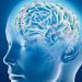 Νέα δεδομένα στη μάχη κατά της άνοιας: Ερευνητές εντόπισαν 13 πρωτεΐνες που συνδέονται με τη γήρανση του εγκεφάλου
