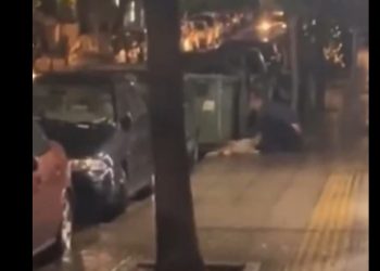 Σοκ στην Κυψέλη: 47χρονος προσπάθησε να αποκεφαλίσει σκύλο – Ερευνάται αν είναι serial killer ζώων – ΒΙΝΤΕΟ