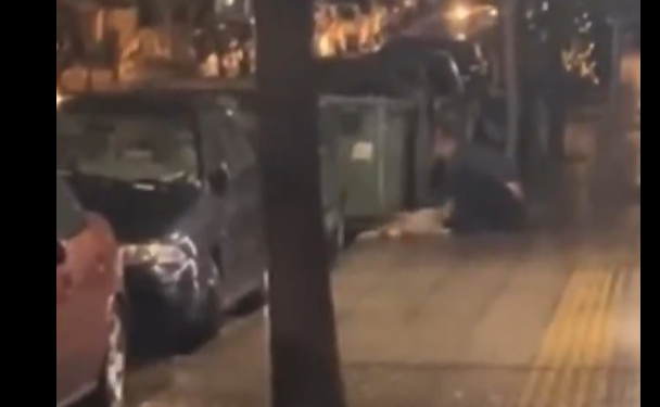 Σοκ στην Κυψέλη: 47χρονος προσπάθησε να αποκεφαλίσει σκύλο – Ερευνάται αν είναι serial killer ζώων – ΒΙΝΤΕΟ