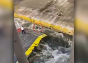 Δίκη για τον θάνατο του Αντώνη Καργιώτη στο Blue Horizon – Πώς το βίντεο-ντοκουμέντο αποκάλυψε την φρίκη