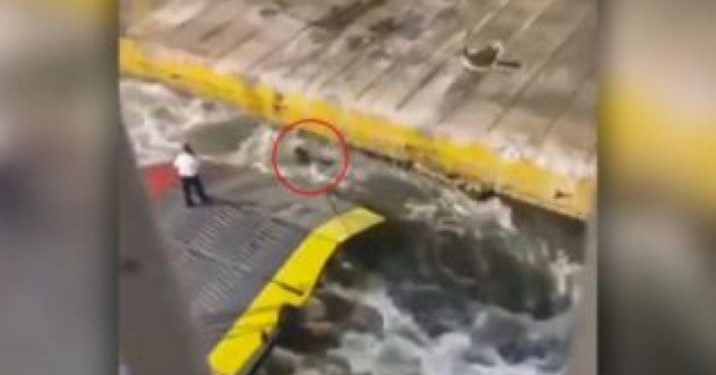 Δίκη για τον θάνατο του Αντώνη Καργιώτη στο Blue Horizon – Πώς το βίντεο-ντοκουμέντο αποκάλυψε την φρίκη