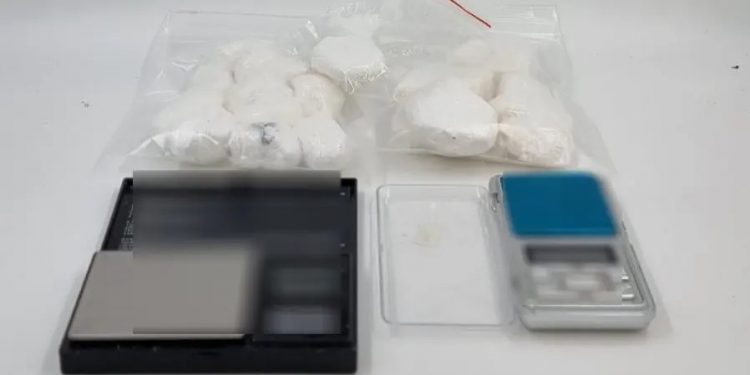 Κέρκυρα: Έκρυβε την κοκαΐνη σε… ελαιόδεντρα – Χειροπέδες σε 53χρονο – ΦΩΤΟ