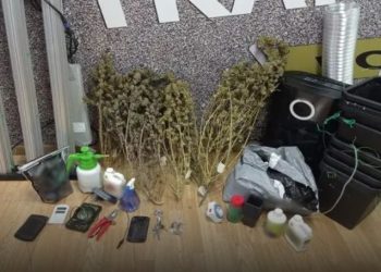 Πειραιάς: Συνελήφθη 42χρονος που καλλιεργούσε κάνναβη στο σπίτι του με τη μέθοδο SKUNK – ΦΩΤΟ