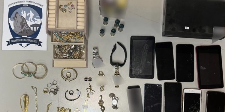 Το ελληνικό FBI «ξεσκέπασε» τους ληστές που «ρήμαζαν» σπίτια στην Αττική – Νάρκωναν κατοικίδια – ΦΩΤΟ