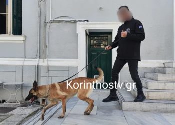 Φάρσα το τηλεφώνημα για βόμβα στο Δικαστικό Μέγαρο Κορίνθου – Αστυνομικοί «σάρωσαν» τον χώρο – ΒΙΝΤΕΟ – ΦΩΤΟ