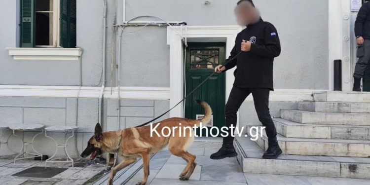Φάρσα το τηλεφώνημα για βόμβα στο Δικαστικό Μέγαρο Κορίνθου – Αστυνομικοί «σάρωσαν» τον χώρο – ΒΙΝΤΕΟ – ΦΩΤΟ