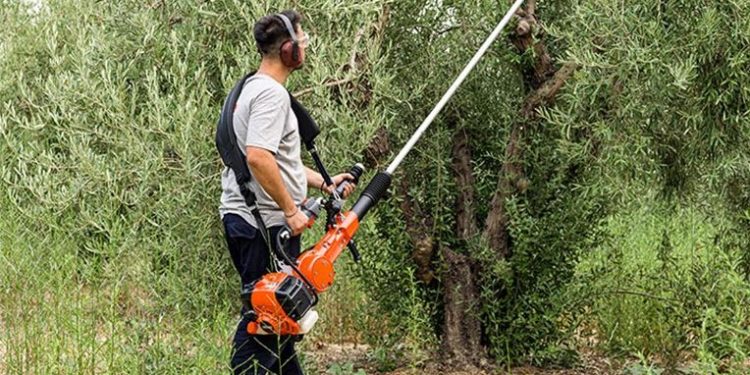 Πύργος: Κλέφτης άρπαξε από αποθήκη ελαιόλαδο, ελαιοραβδιστικά, αλυσοπρίονα και χορτοκοπτικό