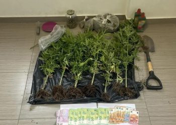 Μετέτρεψαν το σπίτι τους στον Κάλαμο σε «θερμοκήπιο κάνναβης»: Χειροπέδες σε 53χρονη και 34χρονο – ΦΩΤΟ