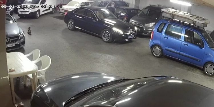 ΒΙΝΤΕΟ ΝΤΟΚΟΥΜΕΝΤΟ: Η στιγμή που ο «ποντικός» των πάρκινγκ κλέβει μια πανάκριβη Mercendes