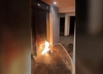 Βάρκιζα: Εμπρηστική επίθεση με γκαζάκια σε πολυκατοικία που έχει διαμέρισμα η Ελίζα Βόζεμπεργκ – ΒΙΝΤΕΟ