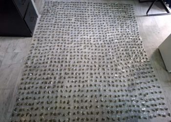 Οι φωνές και οι… μυρωδιές έβγαλαν λαβράκι στον Άγιο Παντελεήμονα – ΦΩΤΟ