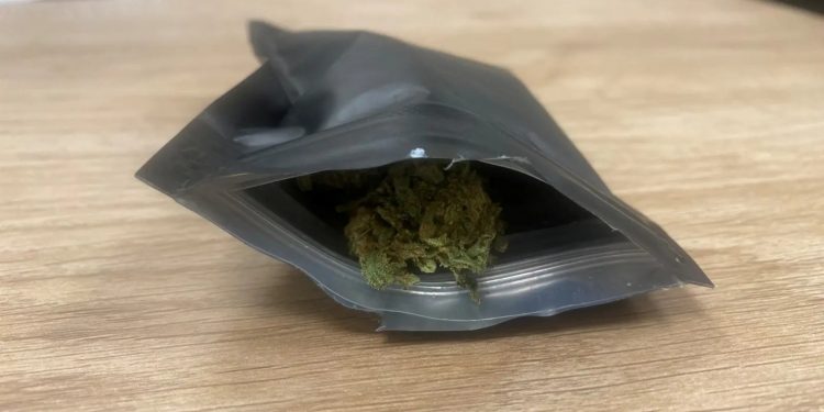 Καστοριά: Σύλληψη 24χρονου για ναρκωτικά – ΦΩΤΟ