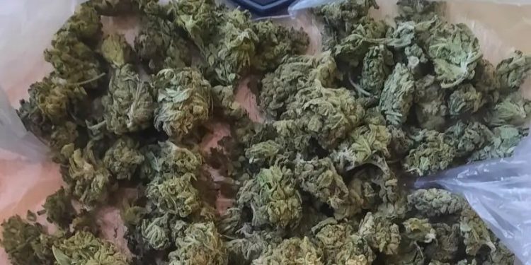 Κέρκυρα: Συνελήφθη 26χρονος για κατοχή κάνναβης – ΦΩΤΟ