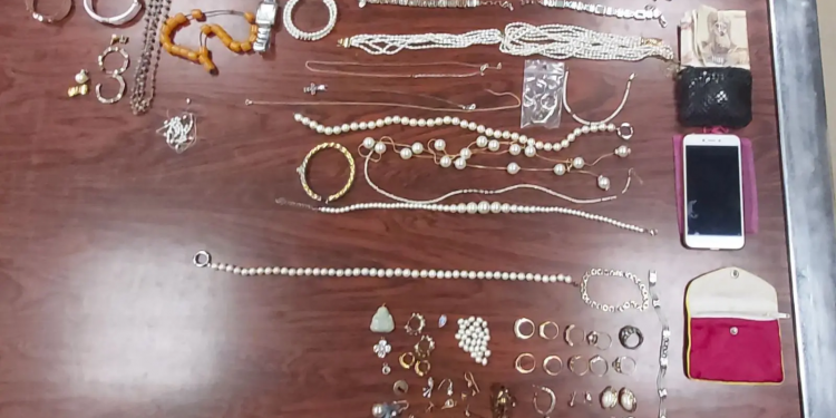 Πατήσια: Με τα κλοπιμαία στο χέρι …γράπωσαν τον κλέφτη οι άνδρες της Ομάδας «Ζ» – ΦΩΤΟ