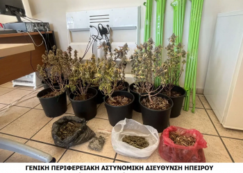 Πρέβεζα: Στις γλάστρες του σπιτιού του καλλιεργούσε κάνναβη – ΦΩΤΟ