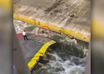 Δίκη Καρυώτη: Επιστρέφουν στο εδώλιο υποπλοίαρχος και ναύκληρος