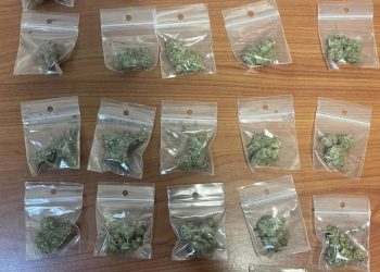 Αμεσοδρασίτες πέρασαν χειροπέδες σε 18χρονο και 19χρονο για διακίνηση κάνναβης – ΦΩΤΟ