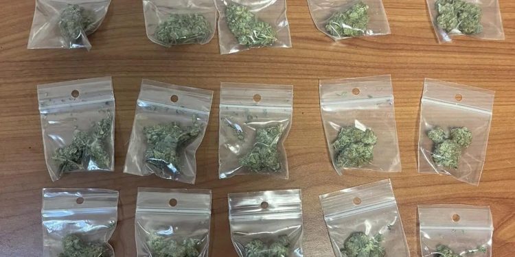 Αμεσοδρασίτες πέρασαν χειροπέδες σε 18χρονο και 19χρονο για διακίνηση κάνναβης – ΦΩΤΟ