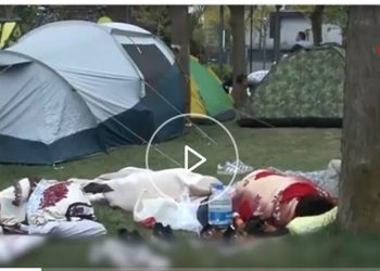 Οι φόβοι για δεύτερο μεγάλο σεισμό στην Κωνσταντινούπολη – Διχασμένοι οι σεισμολόγοι