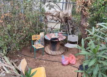 «Ναρκο-μπίζνα» σε δασάκι δίπλα σε φοιτητικές εστίες: 3 συλλήψεις – ΒΙΝΤΕΟ – ΦΩΤΟ