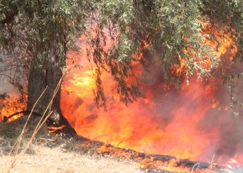 Φωτιά σε διαμέρισμα στο Μοσχάτο – Μία νεκρή – BINTEO