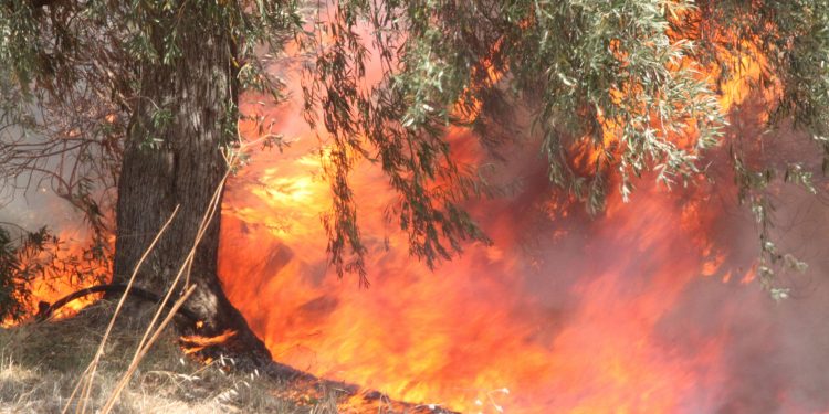 Φωτιά σε διαμέρισμα στο Μοσχάτο – Μία νεκρή – BINTEO